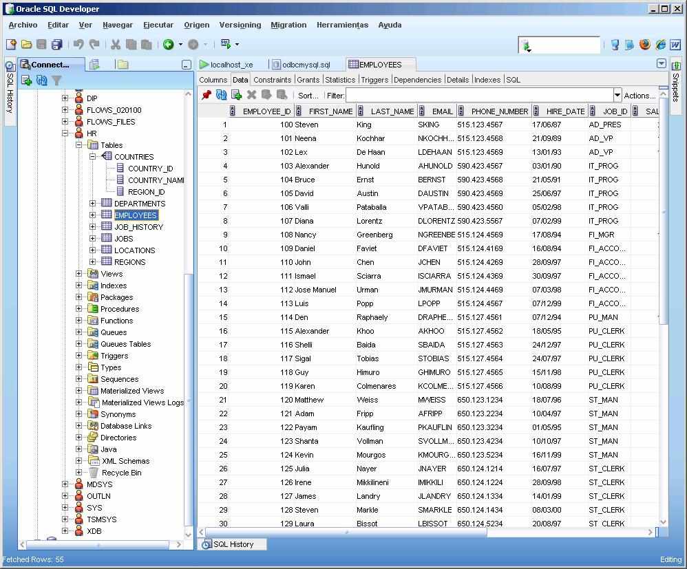 sistemas de informacion gerencial ORACLE